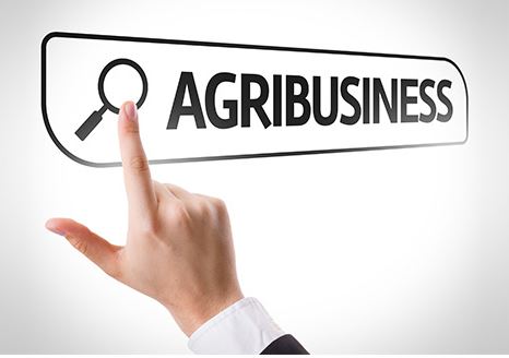 AGD - Agronegócio Direto